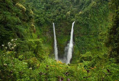 Scenic view of waterfall in forest