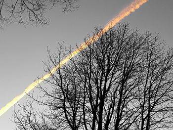 Low angle view of silhouette bare tree against sky