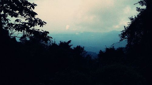 Silhouette trees in forest against sky