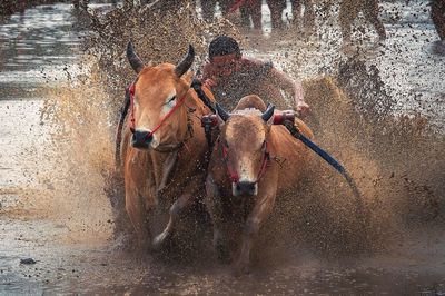 Waves splashing in water