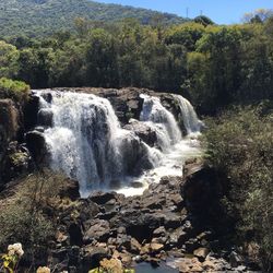 Scenic view of waterfall in forest