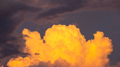 Low angle view of orange sky