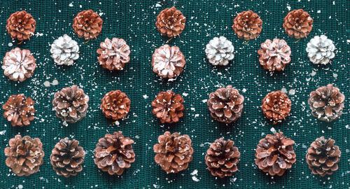 Winter pattern from pine cones on knitted texture. christmas decor or hygge style. 