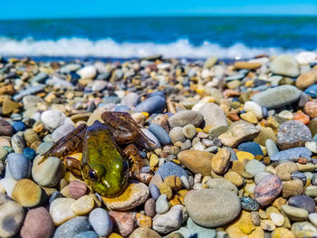 Close-up of pebbles on beach