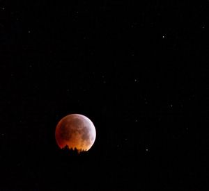 Low angle view of moon against sky at night