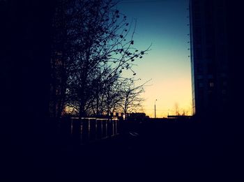 View of trees at sunset