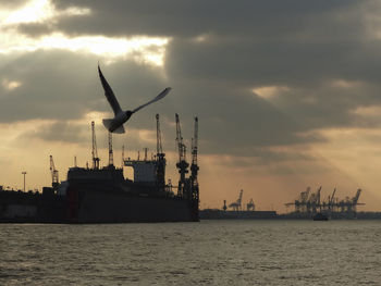 Cranes at harbor against cloudy sky