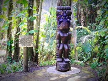 Information sign on tree trunk