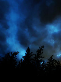 Low angle view of silhouette trees against sky at night