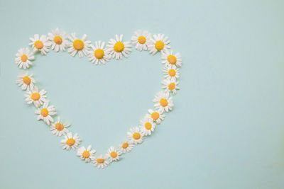 Directly above shot of heart shapes on white background