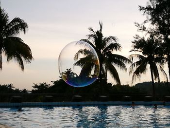 Palm trees by swimming pool against sky during sunset