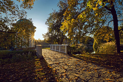 Autumn leaves on footpath in park