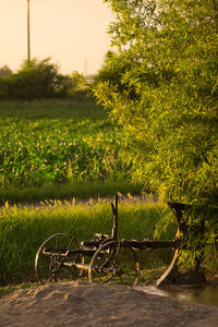 Bicycle on grassy field against trees