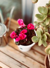 High angle view of potted plant on table