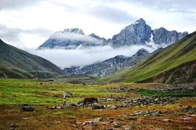 Scenic view of landscape