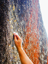 Low angle view of hand on rock