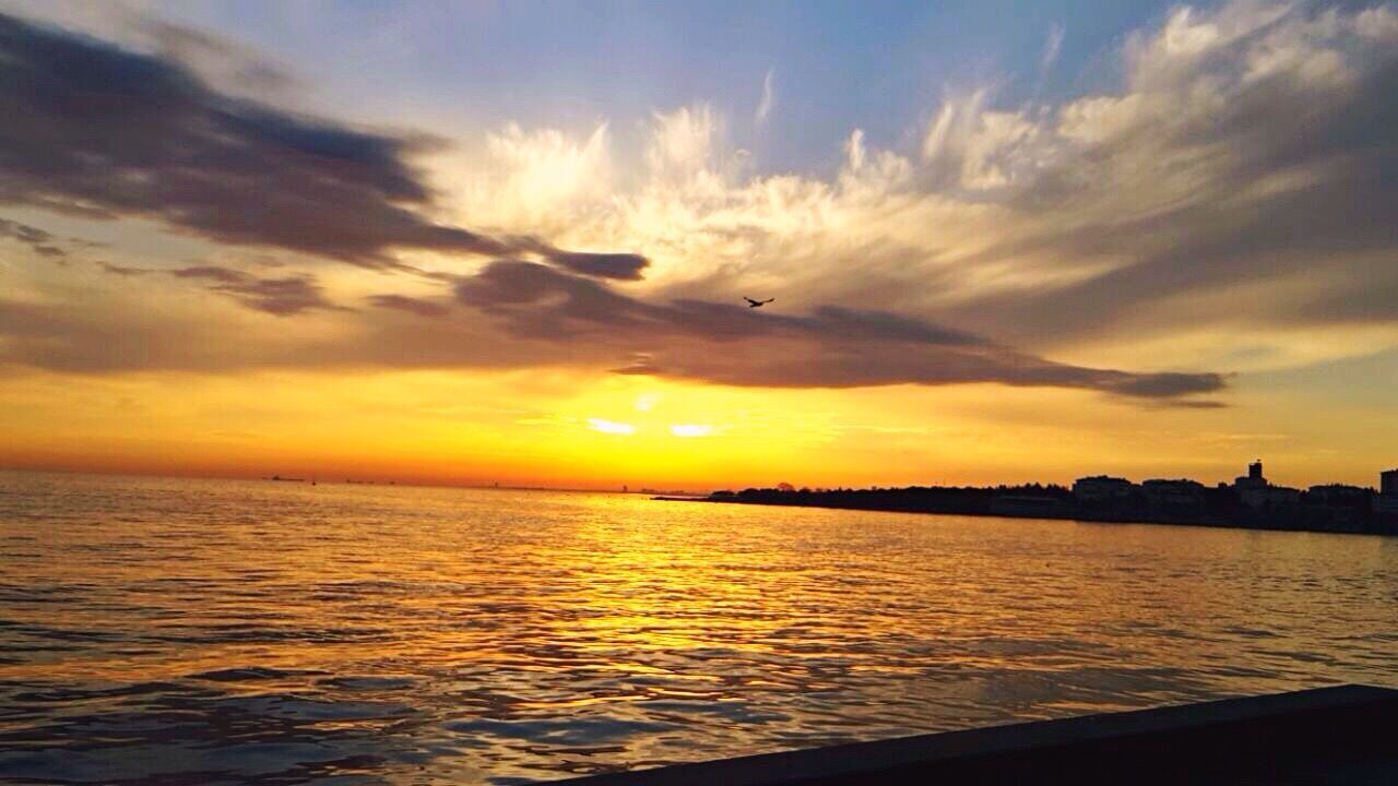 sunset, flying, sky, sea, scenics, nature, beauty in nature, sun, water, bird, outdoors, no people, idyllic, cloud - sky, horizon over water, airplane, day