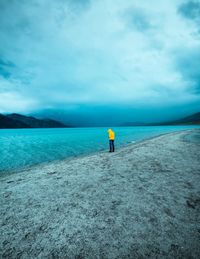 Rear view of person on sea shore against sky