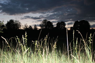 Silhouette trees on field against sky