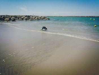 View of people on beach