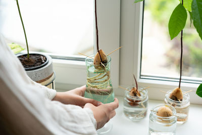 Home gardening concept. unrecognizable woman holding retro jar with avocado plant growing in water.