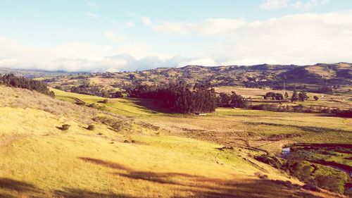 Scenic view of landscape against sky