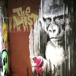 Portrait of graffiti on wall
