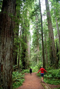 Rear view of men walking in forest