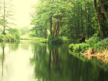 Reflection of trees in lake