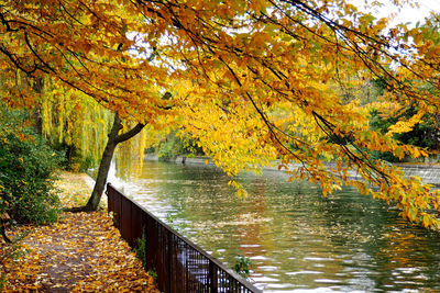 Scenic view of lake during autumn