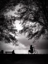 Silhouette of man and bicycle on tree