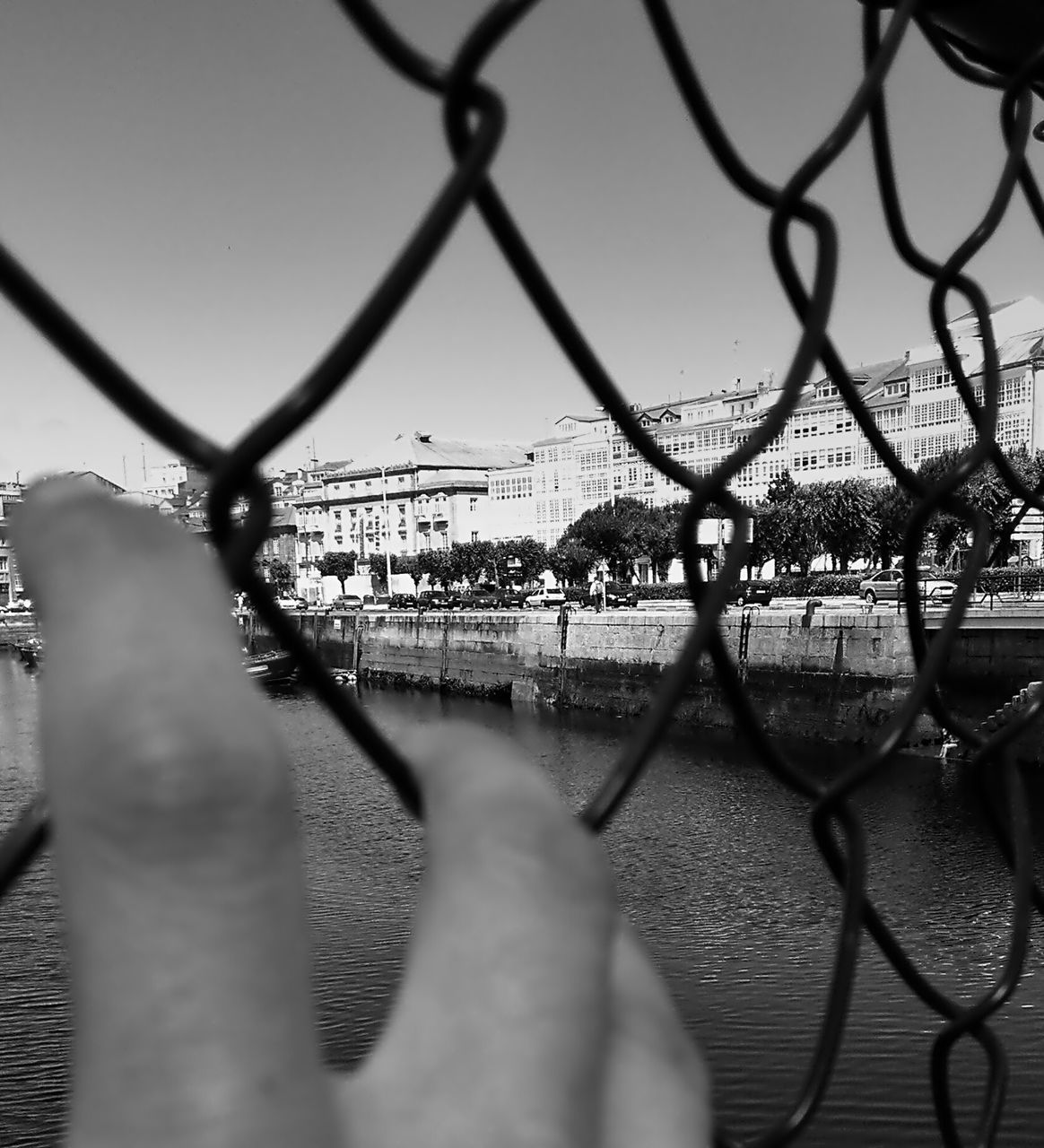 water, metal, river, clear sky, chainlink fence, reflection, focus on foreground, fence, railing, close-up, outdoors, nature, transportation, connection, protection, waterfront, bridge - man made structure, day, no people, branch