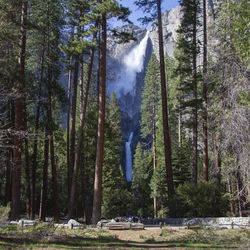 Yosemite national park, california, usa