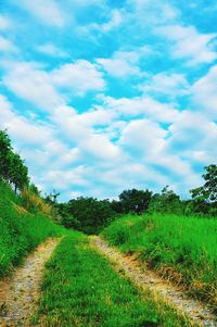 Country road leading towards grassy field against cloudy sky