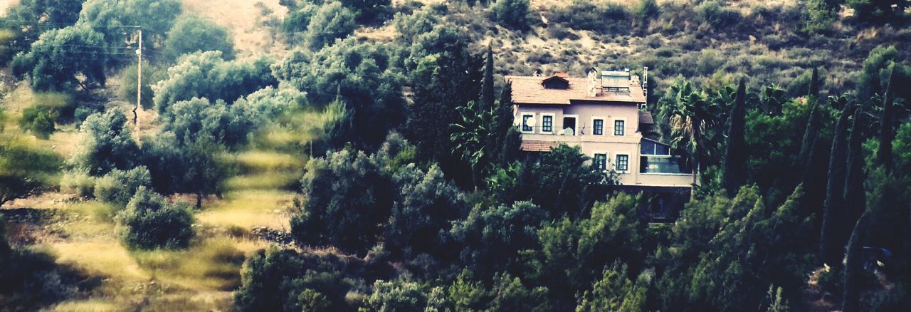 building exterior, architecture, tree, built structure, house, growth, residential structure, residential building, green color, nature, plant, day, outdoors, no people, sky, lush foliage, tranquility, beauty in nature, low angle view, window