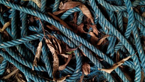 Unused blue rope in the backyard.