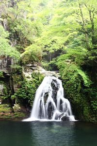 River flowing through rocks