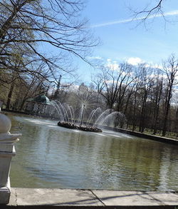 View of canal along trees