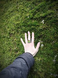 Midsection of person hand on grassy field