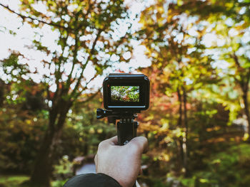 Cropped hand of man holding camera against trees