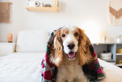 Man pets his dog sitting on the floor at home. indoor, quarantine, finding simple joy at lockdown