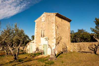 Sunny olive grove and house in winter
