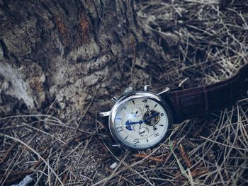 High angle view of wristwatch on twigs over land against tree trunk