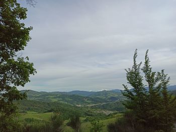 Scenic view of landscape against sky