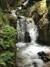 Scenic view of waterfall in forest