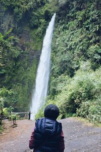 Rear view of person standing by waterfall in forest