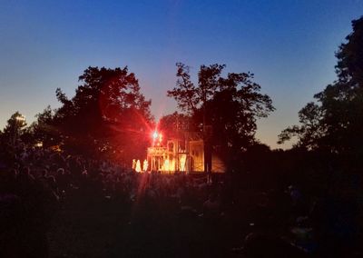 Silhouette of trees at sunset