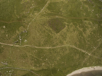 Full frame shot of airplane flying above land