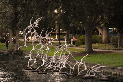 View of birds in lake