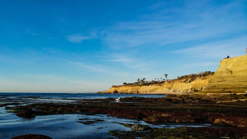 Scenic view of sea against blue sky